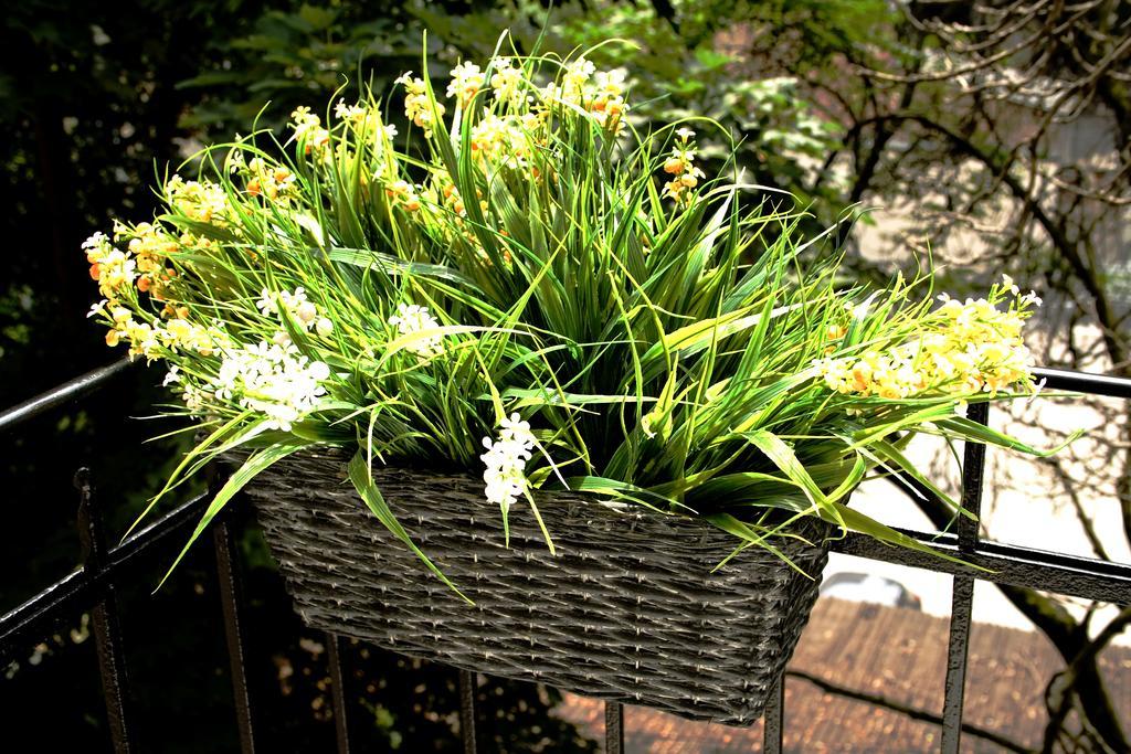 Flowers City Center Apartments Zagreb Ruang foto
